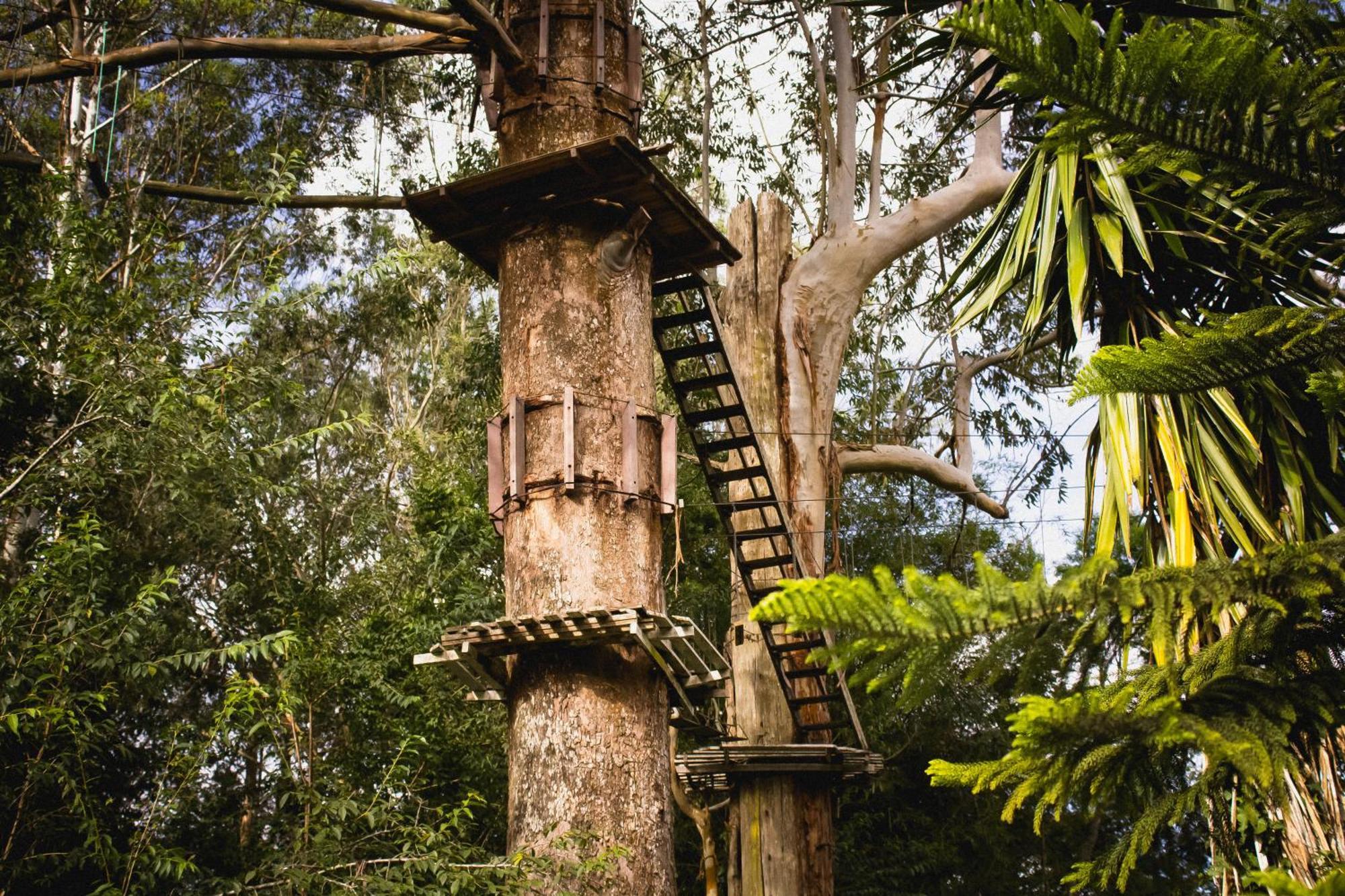 Hotel Fazenda Caledônia Inn Nova Friburgo Esterno foto